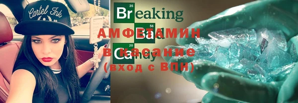 индика Бородино