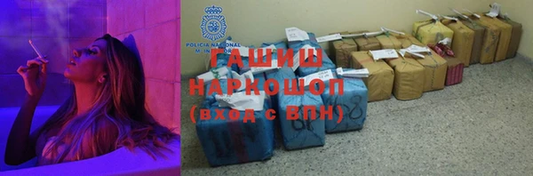 индика Бородино