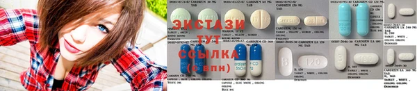 индика Бородино
