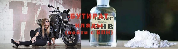 индика Бородино