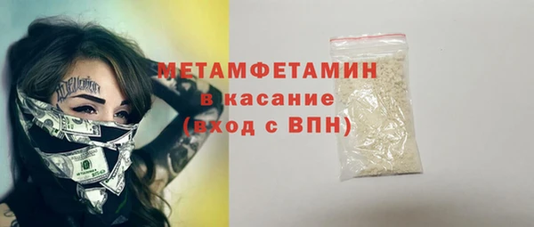индика Бородино