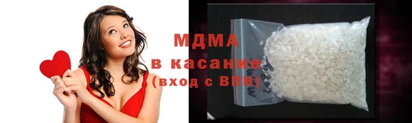 индика Бородино