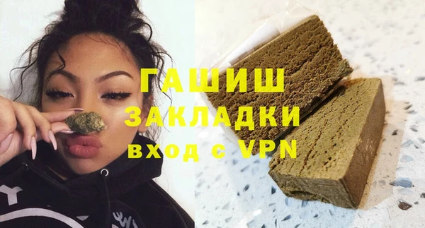индика Бородино