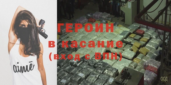 индика Бородино