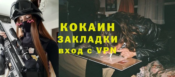индика Бородино