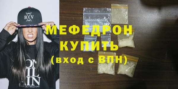 индика Бородино