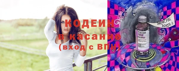 индика Бородино