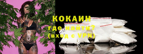 индика Бородино