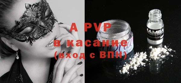 индика Бородино