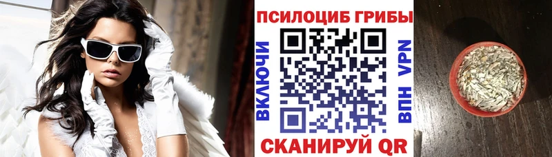 Псилоцибиновые грибы ЛСД  Бронницы 